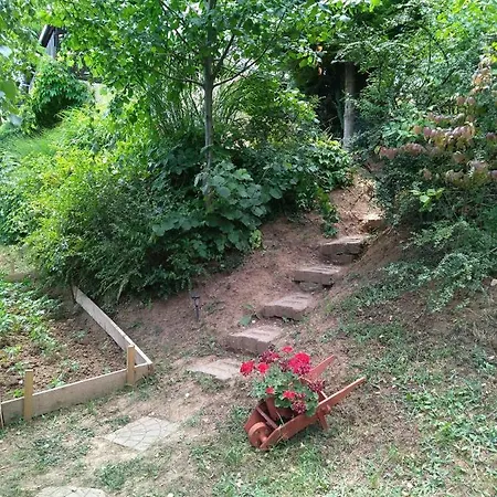T&k 1 Vendégház